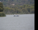 RESULTADOS TORNEO ABIERTO DE PESCA DE LOBINA,  LOS PRISMAS 2013